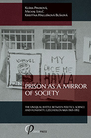 Cover of Prison as a Mirror of Society